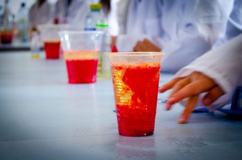 Experimento Colegio Bilingüe José Allamano-10