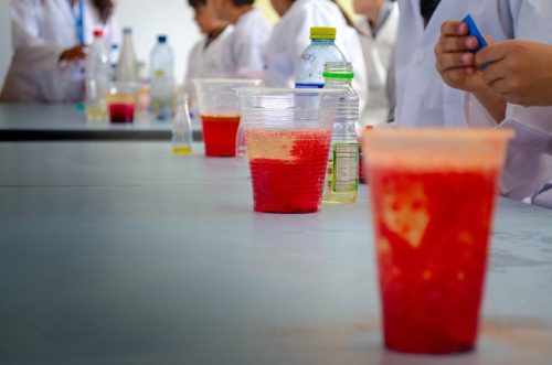 Experimento Colegio Bilingüe José Allamano-11