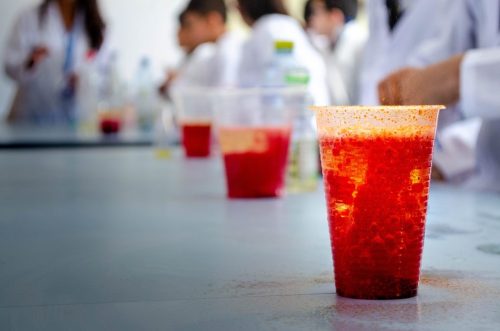 Experimento Colegio Bilingüe José Allamano-12