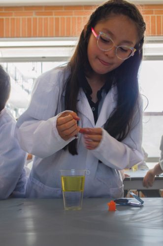 Experimento Colegio Bilingüe José Allamano-8