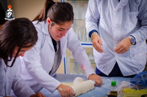 Experimento de Quimica Pizza-34